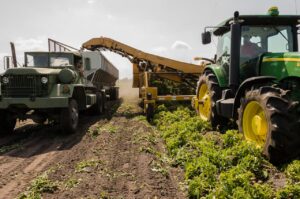 machine harvest
